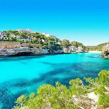 Descubre El Paraiso En La Grand Bleu Playa A 500 Metros Opcion Piscina Climatizada A 30º