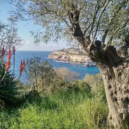 Descubre El Paraiso En La Grand Bleu Playa A 500 Metros Opcion Piscina Climatizada A 30º
